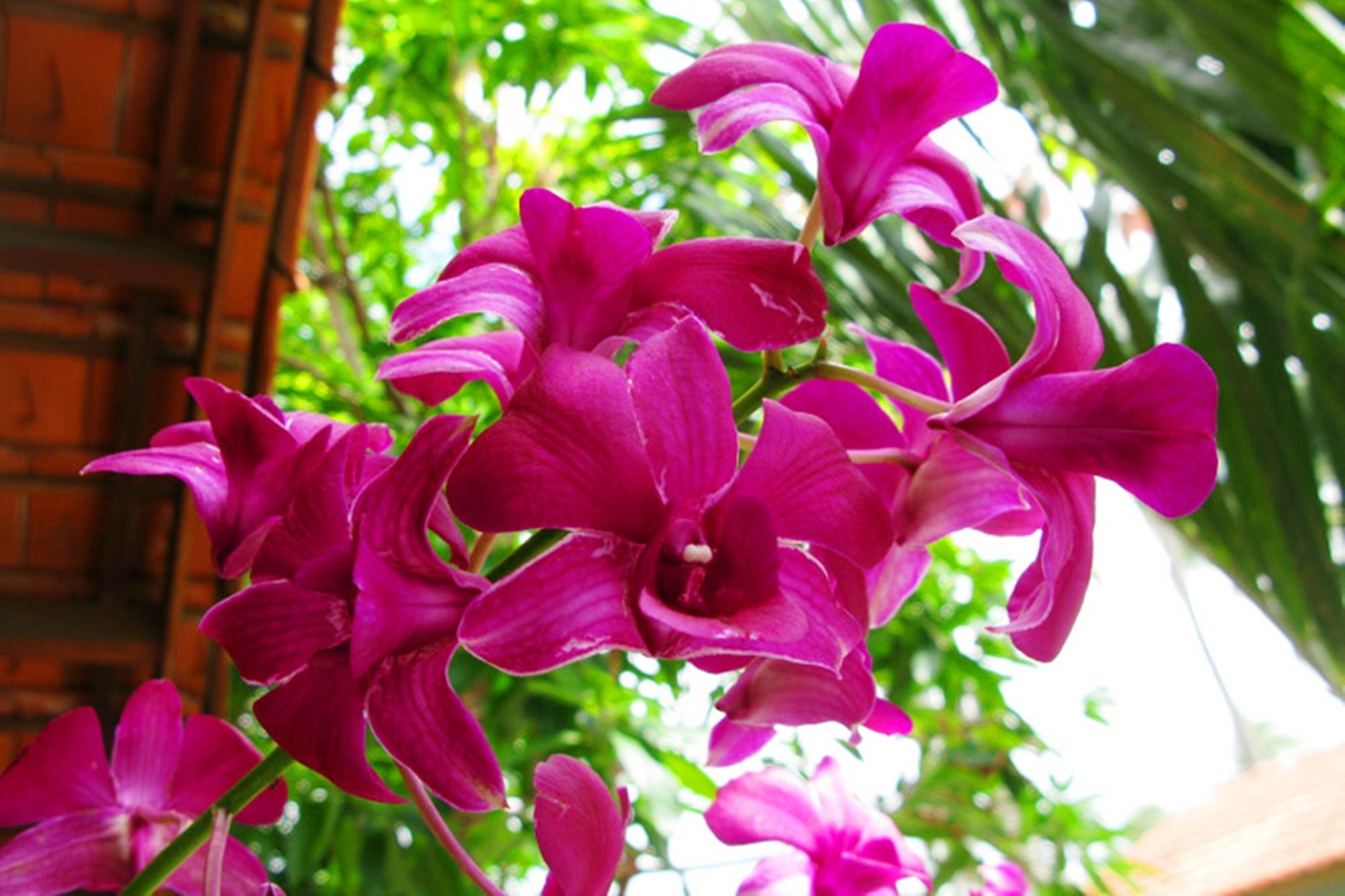 Hiep Hoa Resort Mui Ne Bagian luar foto
